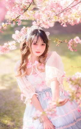 兔子Zzz不吃胡萝卜 - 粉色春天 雪夜_丽丝库