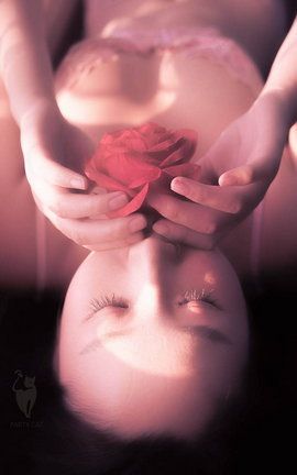 轰趴猫partycat 2017.12.14第二十刊七七_丽丝库