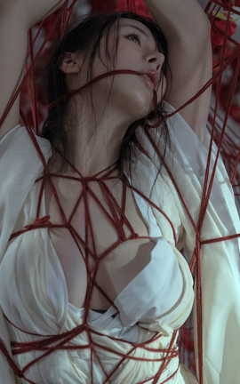 奶桃 囚鸟_丽丝库