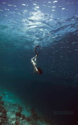 名模阿朱 微博配图收录 46_丽丝库