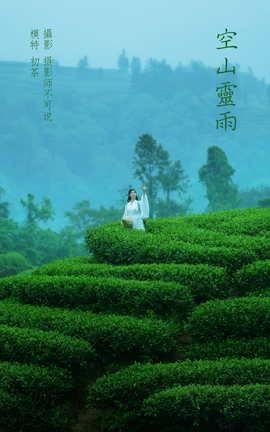 艺图语YITUYU 2021.12.24 空山灵雨 初茶_丽丝库