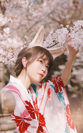 Fushii_海堂 樱花兔兔_丽丝库