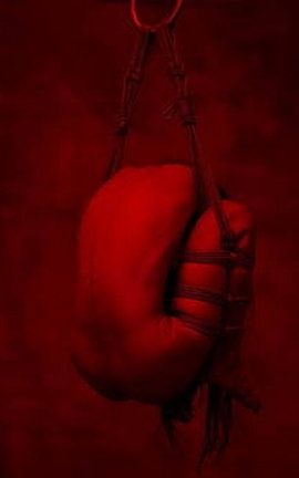 SM&amp;捆绑&amp;露出系绳师@王竹子 尺度视图1