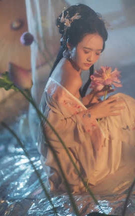 兔子zzz 清欢_丽丝库