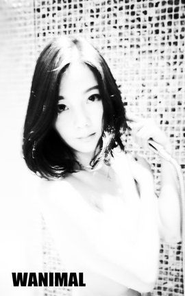 王动WANIMAL大尺度写真 2016.06 VIP图集