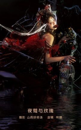 艺图语YITUYU 2023.02.03 夜莺与玫瑰 啊颜不咸_丽丝库