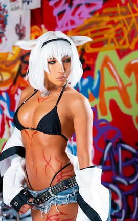 Nonsummerjack FGO Invincibleode Fate Grand Order_丽丝库