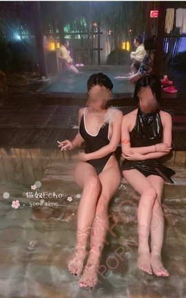 武汉猫奴echo-四只猫咪的圣诞狂欢_丽丝库