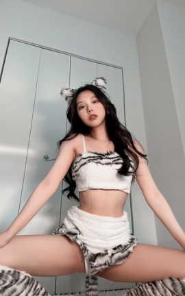 果咩酱w  小老虎_丽丝库