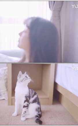 尤美YouMei视频写真 2018.07.31 NO.033 喵喵与喵星人 喵星人[1920X1080][3分57秒]_丽丝库