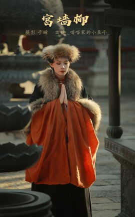 艺图语YITUYU 2023.03.05 宫墙柳 _喵喵家的小鱼干__丽丝库