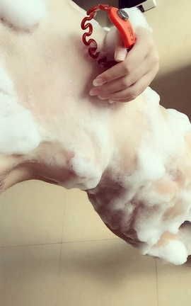 H工口小学生胖次(黑暗萝莉) Vol.009_丽丝库