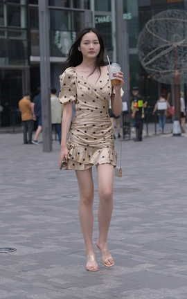 精选街拍作品 NO.1145 一只麋鹿摄影作品 斑点包臀裙长腿美女 part4_丽丝库