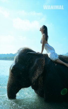 王动WANIMAL大尺度写真 2016.12 VIP图集