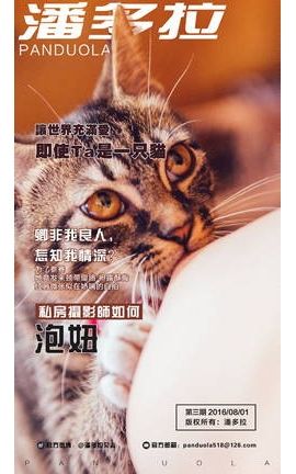 《潘多拉》2016.08.01 第三期_丽丝库