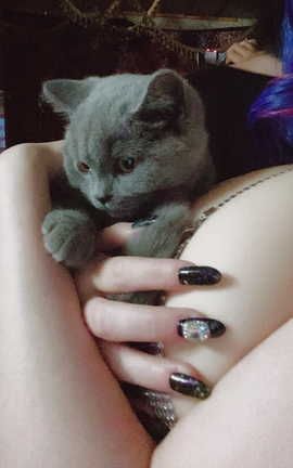 起司块wii 圣路易斯_丽丝库