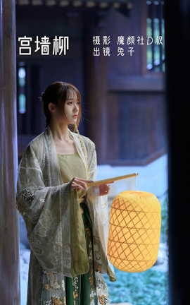 兔子Zzz不吃胡萝卜 - 宫墙柳_丽丝库