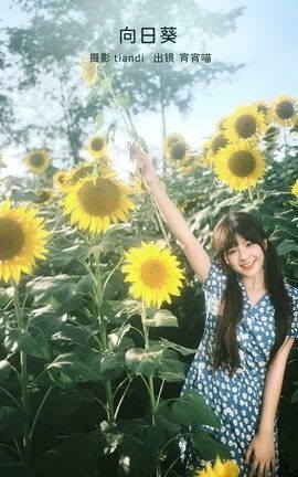 艺图语YITUYU 2023.02.15 向日葵 宵宵喵_丽丝库