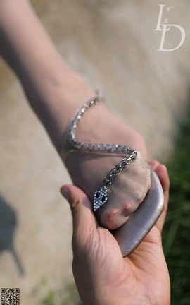 零度摄影LD NO.066 雪花_丽丝库