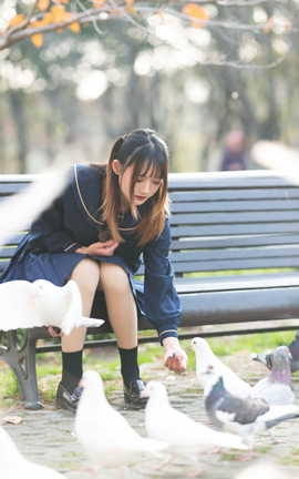 兔子Zzz不吃胡萝卜 - 初冬_丽丝库