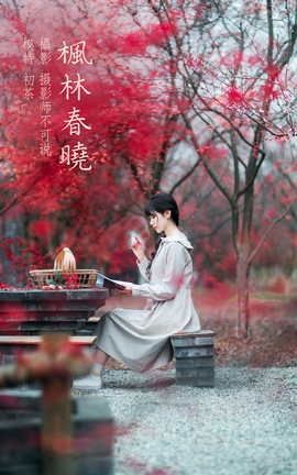 艺图语YITUYU 2021.12.23 枫林春晓 初茶_丽丝库