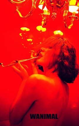 摄影师王动 tumblr汤不热作品合集 part42_丽丝库