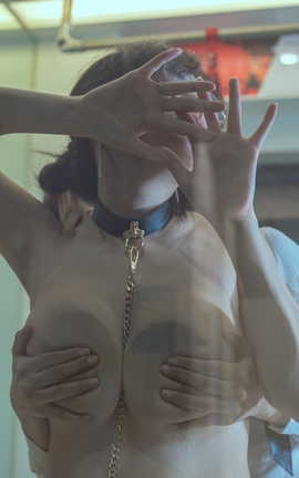 秋和柯基 &电车_丽丝库