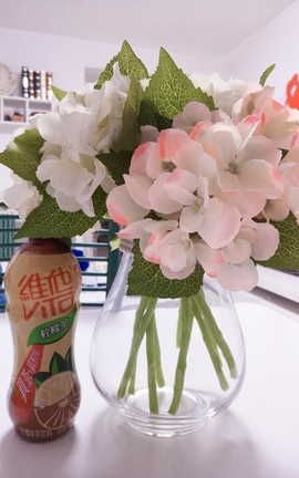 PR社镜颜欢-病人好好用药（特别推送2）_丽丝库