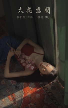 艺图语YITUYU 2022.01.03 大花蕙兰 Miya怡君_丽丝库