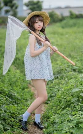 花铃 田野_丽丝库