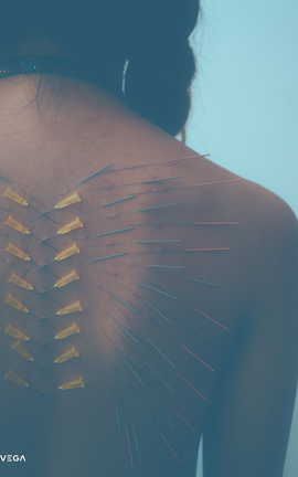 Twitter摄影师 煎炸DOGI@DOGI_dogidogi_丽丝库