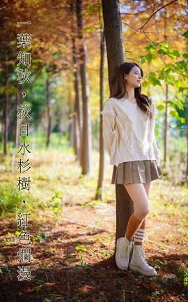 艺图语YITUYU 2022.02.03 一叶知秋，秋日水杉树，红色烂漫 滕静_丽丝库