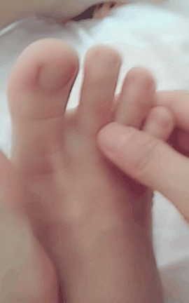 鱼鱼喵S-鱼喵动图_丽丝库