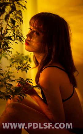 PDL潘多拉 2020.01.07 NO.263_丽丝库