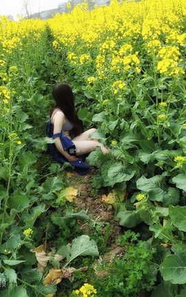 爱露出全站付费资源-原创区  春天的油菜花_丽丝库