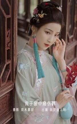 艺图语YITUYU 2022.12.25 我于窗中窥伤鹤 我是金儿呀_丽丝库
