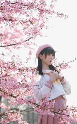 Kitaro_绮太郎 樱花_丽丝库