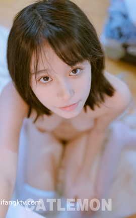 Twitter摄影师 CatLemon part3_丽丝库