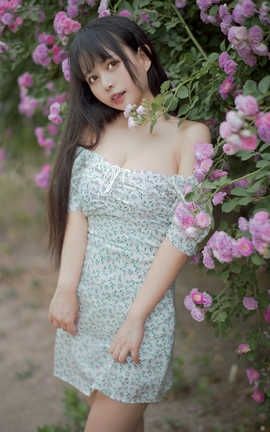 黑猫猫OvO-NO.023 蔷薇2_丽丝库