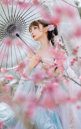 紫氯氯  二月梅花_丽丝库