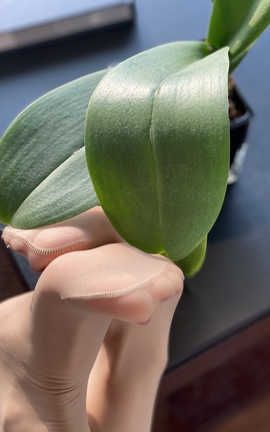 美腿博主凯瑟琳 Cathy4444 part16_丽丝库