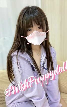 甄选系列 Twitter 小狗玩偶 WishPuppydoll part1_丽丝库