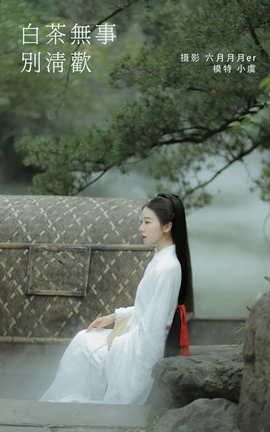 艺图语YITUYU 2022.02.03 白茶无事别清欢 一方伊人yi_丽丝库