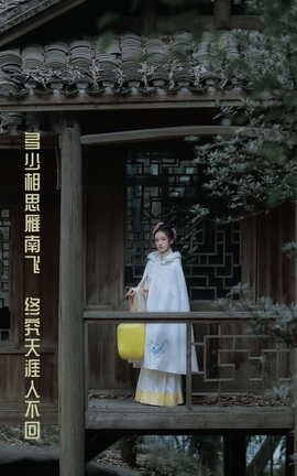 艺图语YITUYU 2022.03.30 多少相思雁南飞，终究天涯人不回 思佳_丽丝库