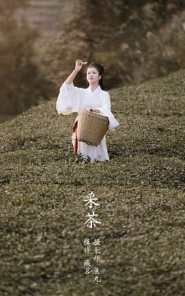 艺图语YITUYU 2022.03.08 采茶 藏茗_丽丝库