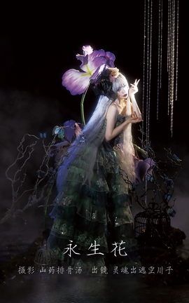 艺图语YITUYU 2023.02.22 永生花 灵魂出逃空川子_丽丝库
