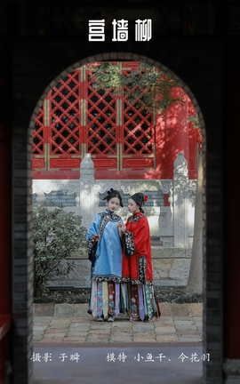 艺图语YITUYU 2022.03.31 宫墙柳 _喵喵家的小鱼干__丽丝库