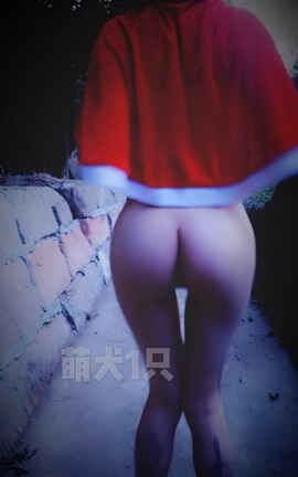 萌犬一只-圣诞图包_丽丝库